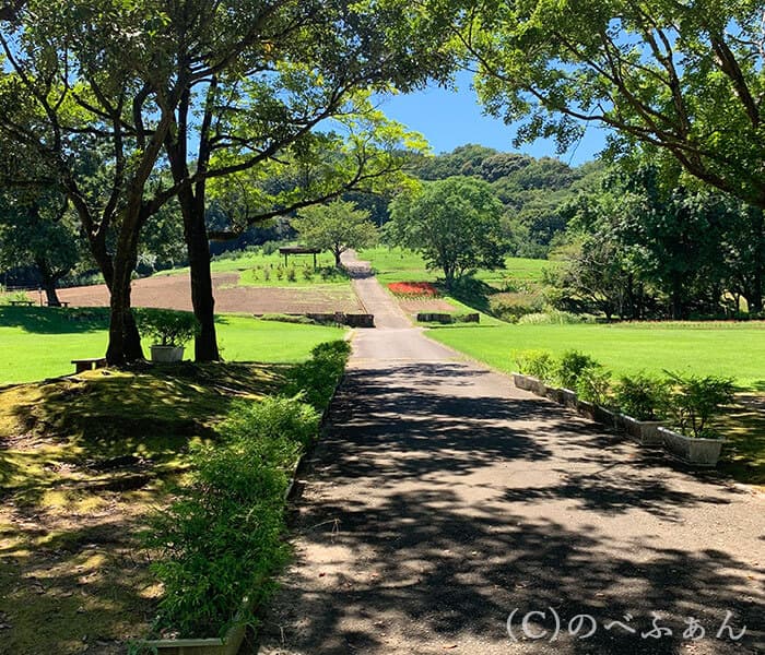 延岡植物園