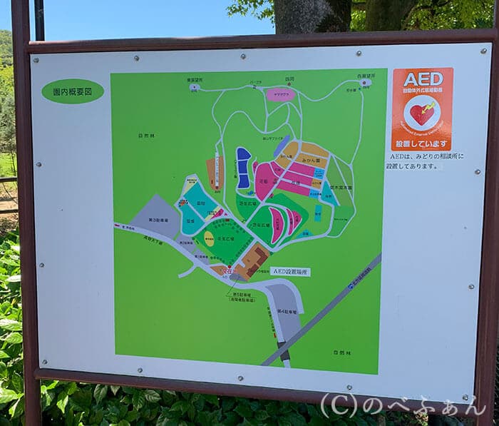 延岡植物園